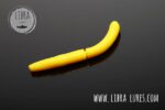 FATTY D'WORM - 007 YELLOW.jpg